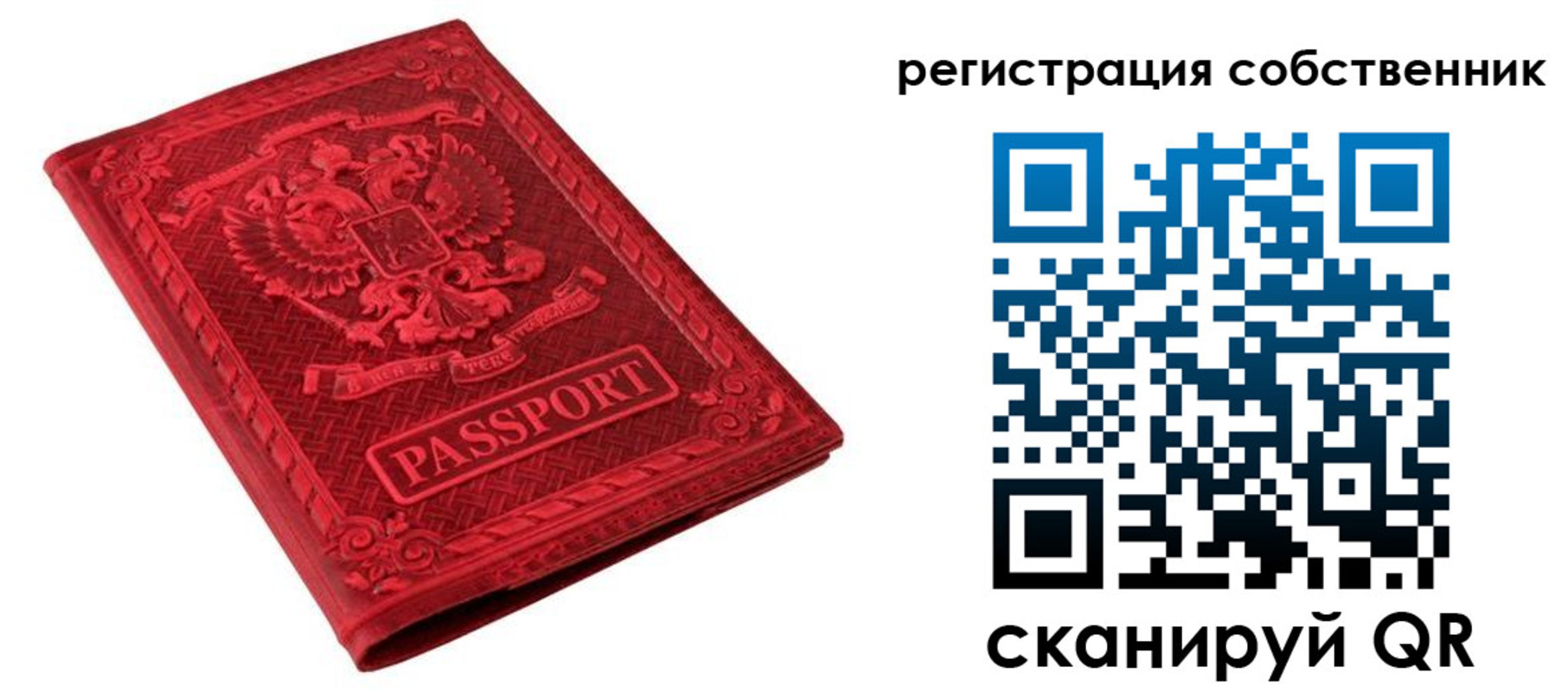 регистрация для школы в Лодейном Поле