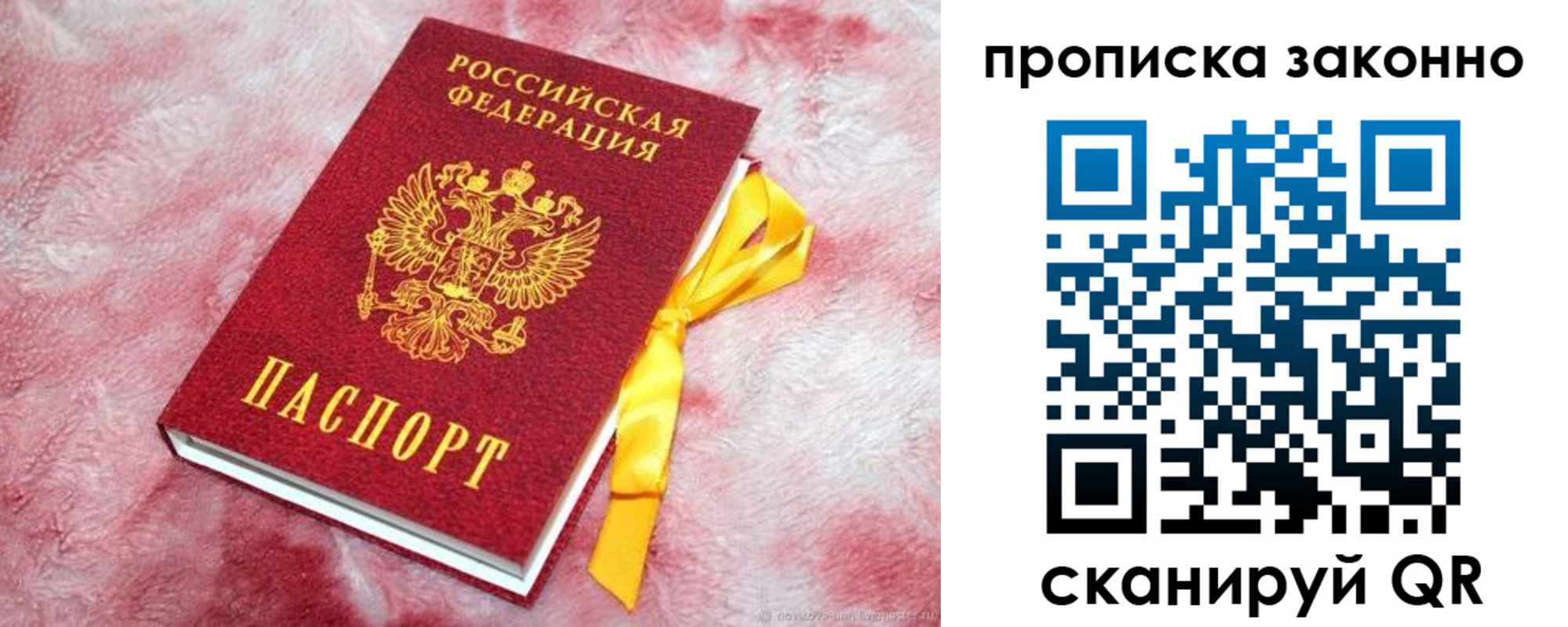 прописка 2025 в Лодейном Поле